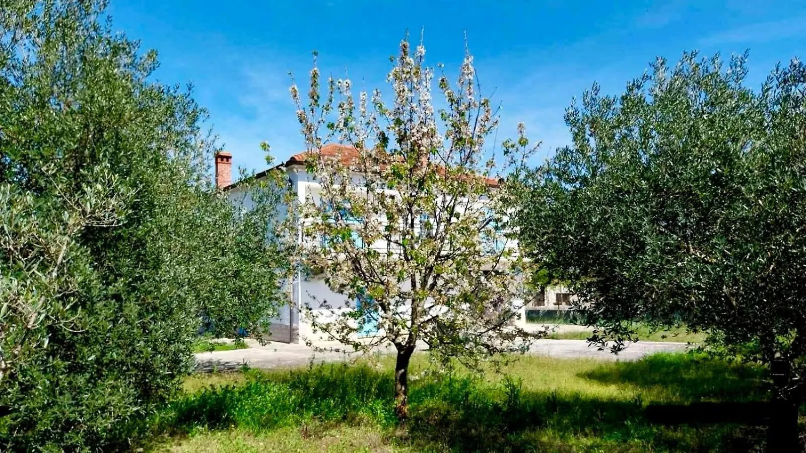 Апартаменты Galovac Nikos